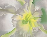 Georgia O'keeffe Canvas Paintings - An Orchid 1941